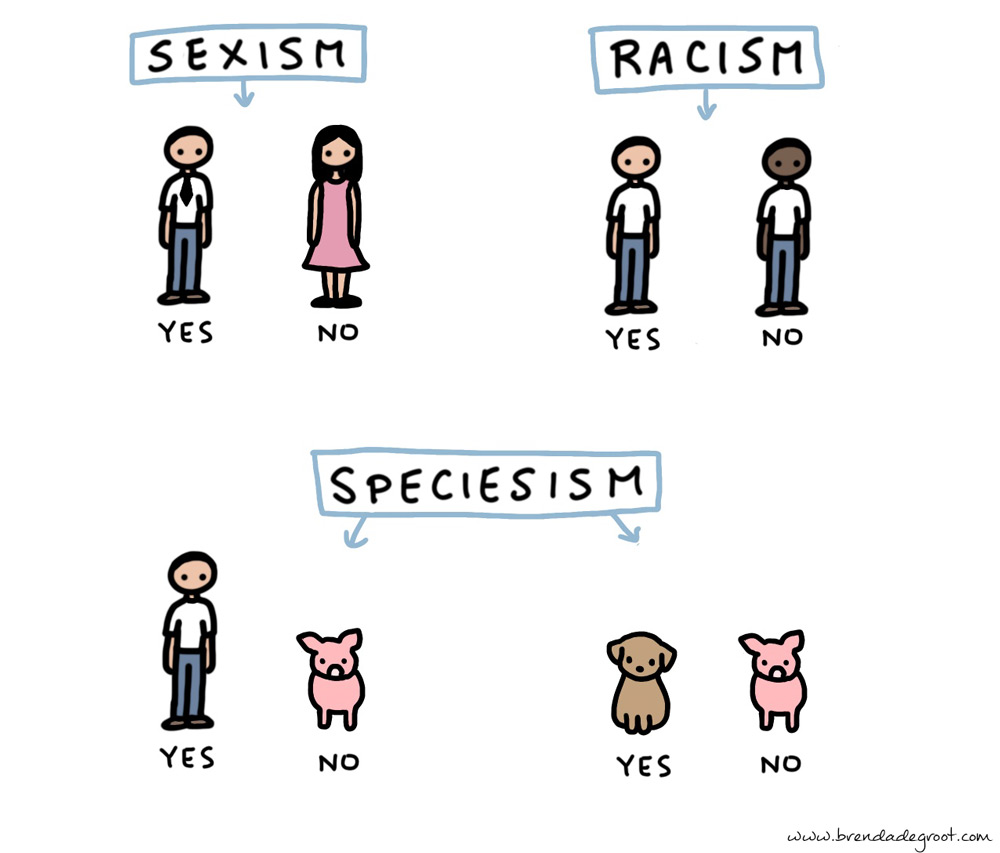 Speciesisme uitgelegd