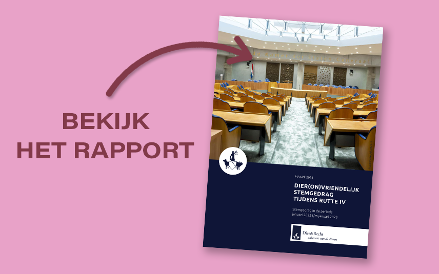 Bekijk het rapport