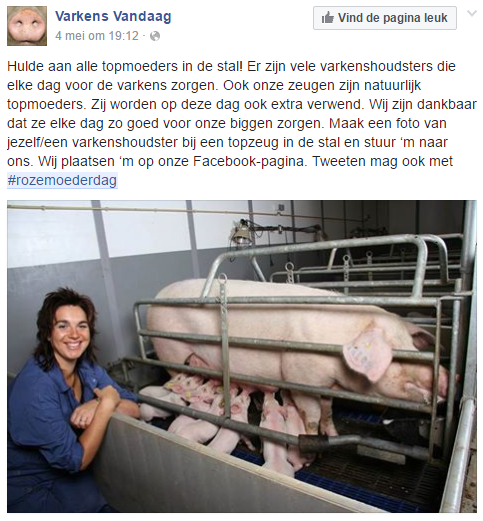 Facebook Varkens Vandaag