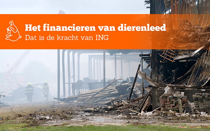 Straathof ING beeld