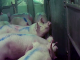 varkens in slachthuis