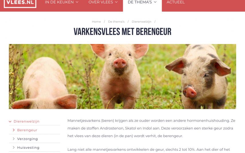 Vlees.nl