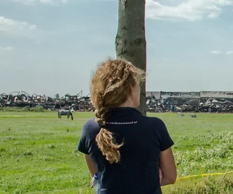 Een veld van nachtmerries