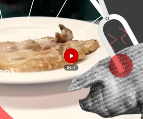 Open brief aan NOS over video ‘Zo ziet het leven van een varken in Nederland eruit’