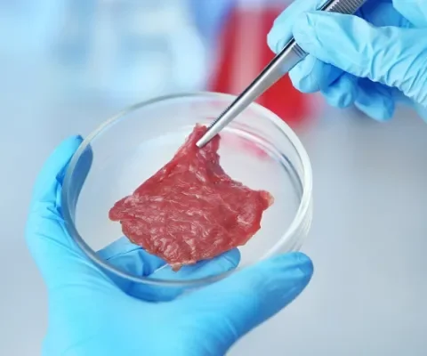 Eerste kweekvleesdiner in Nederland door NVWA gedwarsboomd