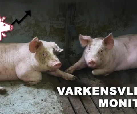 Varkensvlees Monitor