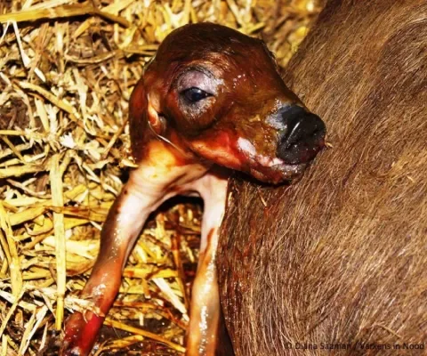 Diana’s blog 12: Nachtwacht