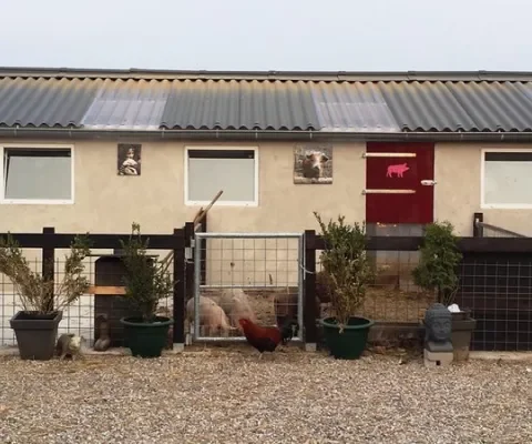 Blog 31: Nieuwe stal. Pijnlijk begin