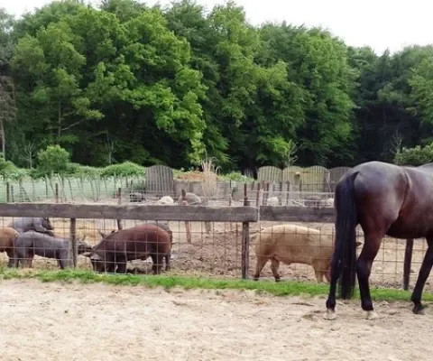 Blog 40: Niemand is dood