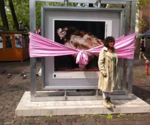 Vergeten dieren in hartje Amsterdam