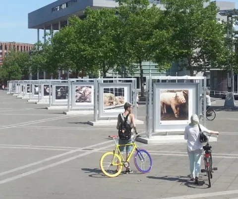 Foto-expo ‘vergeten dieren’ ontroert Maastricht