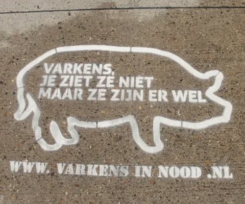 Vijftienhonderd keer graffiti geplaatst voor de varkens