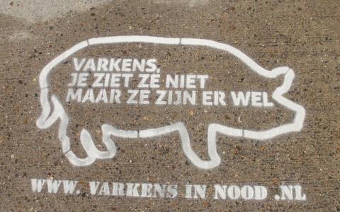Vijftienhonderd keer graffiti geplaatst voor de varkens