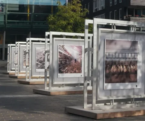 Foto-expo Het Vergeten Dier in Breda