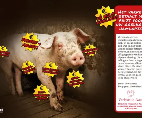 NRC Charity Awards: Stem voor de varkens!
