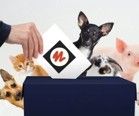 Stemgedrag van landelijke partijen bij moties over dierenwelzijn