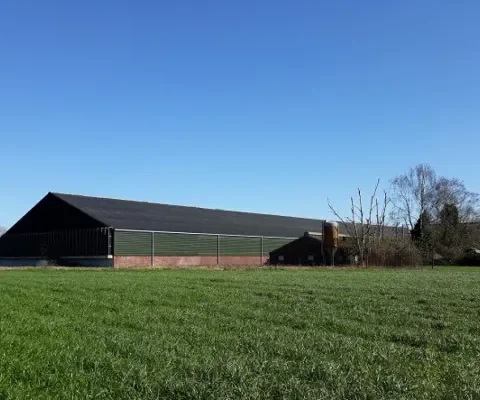 Varkens in Nood spreekt bij het Hof van Justitie over varkensbaron Straathof
