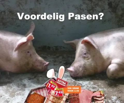 Zet geen dierenleed op de paastafel