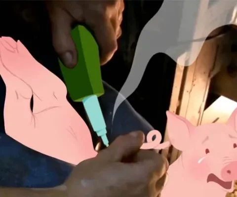 tv-spot tegen couperen