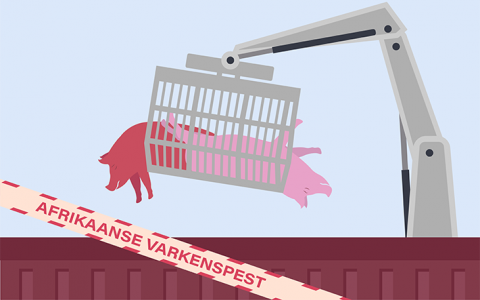 25 jaar dierziekte-uitbraken in Nederland