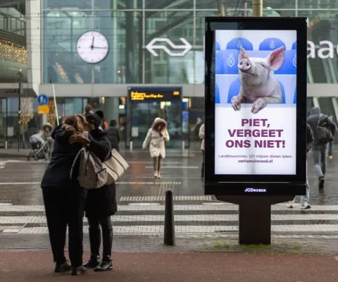 Landbouwakkoord? Dieren worden niet gehoord!
