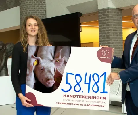 Petitie groot succes: Tweede Kamerleden willen strenger cameratoezicht na beelden Gosschalk