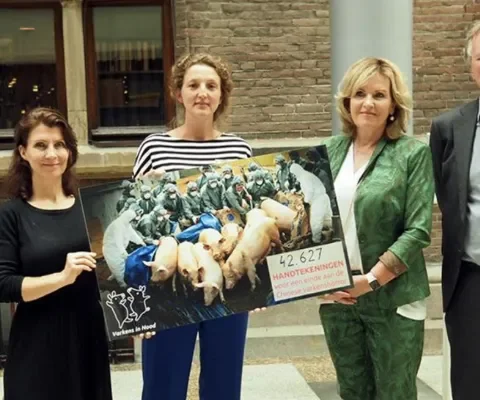 Petitie 'Stop de Chinese varkenshorror' aangeboden aan Tweede Kamer
